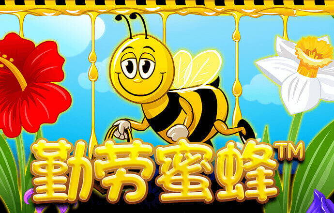 竞技联盟德州sohoo官网版截图2
